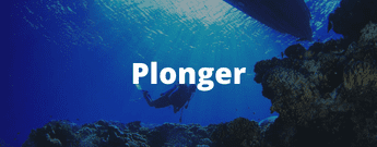 plonger